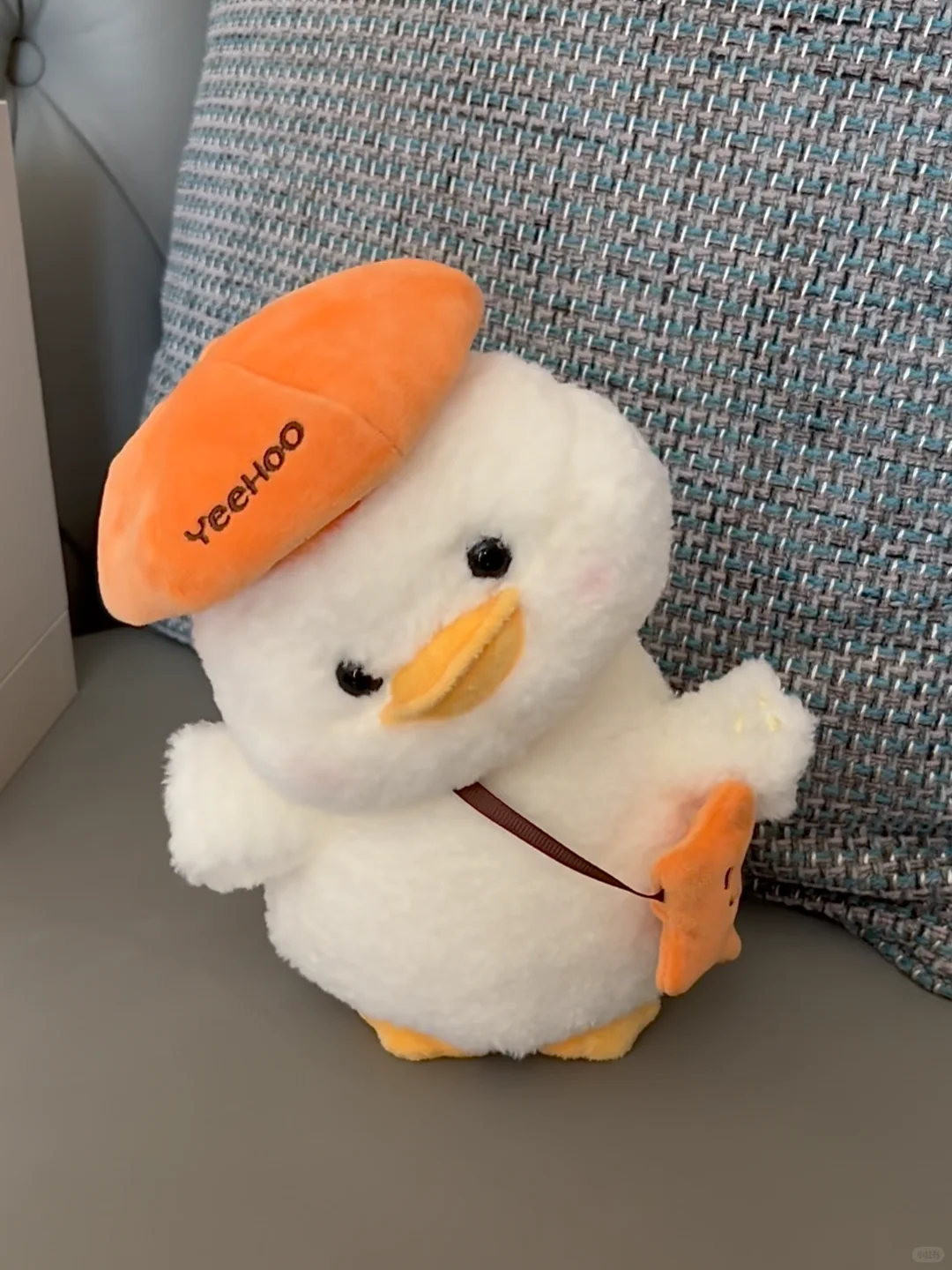 怎么办。。送给小侄子的礼物太可爱了