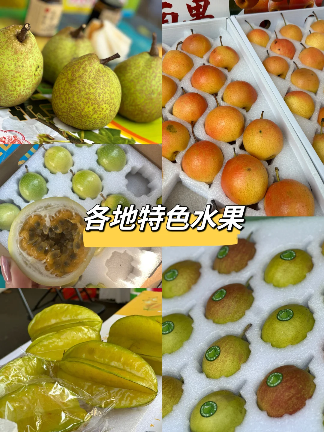 仅3天｜可以吃吃吃的农产品博览会