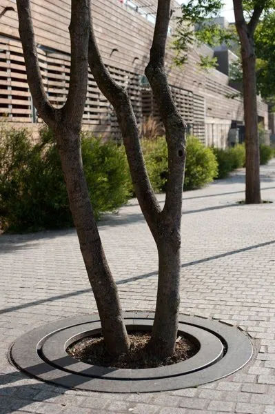 景观元素——树池篦子