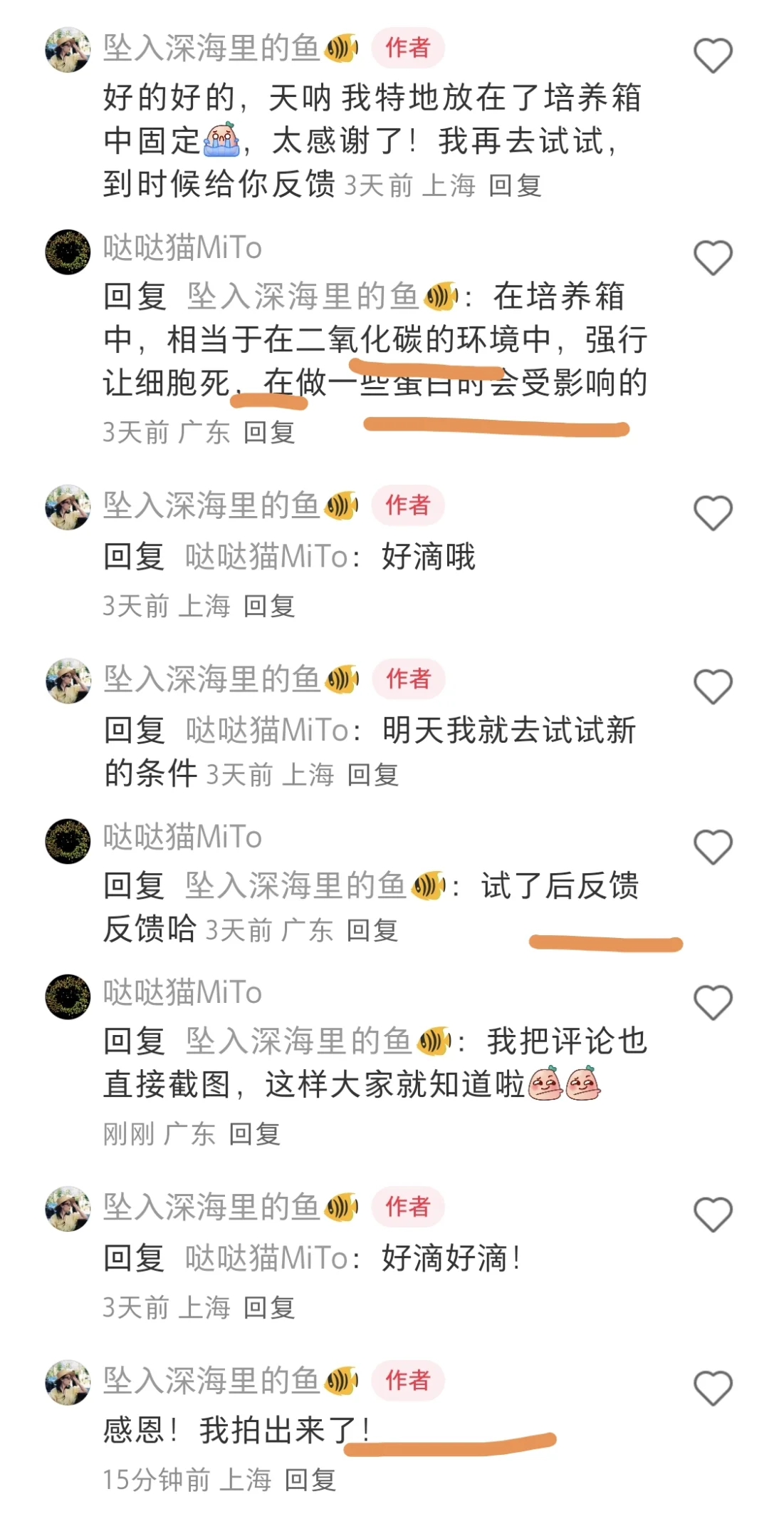 线粒体外膜蛋白TOM20免疫染色固定注意事项