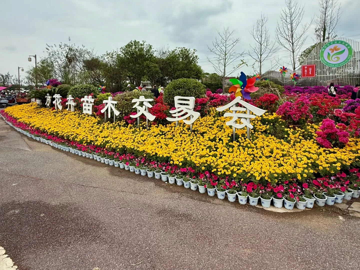 今天我们V23来到花卉苗木交易会现场啦