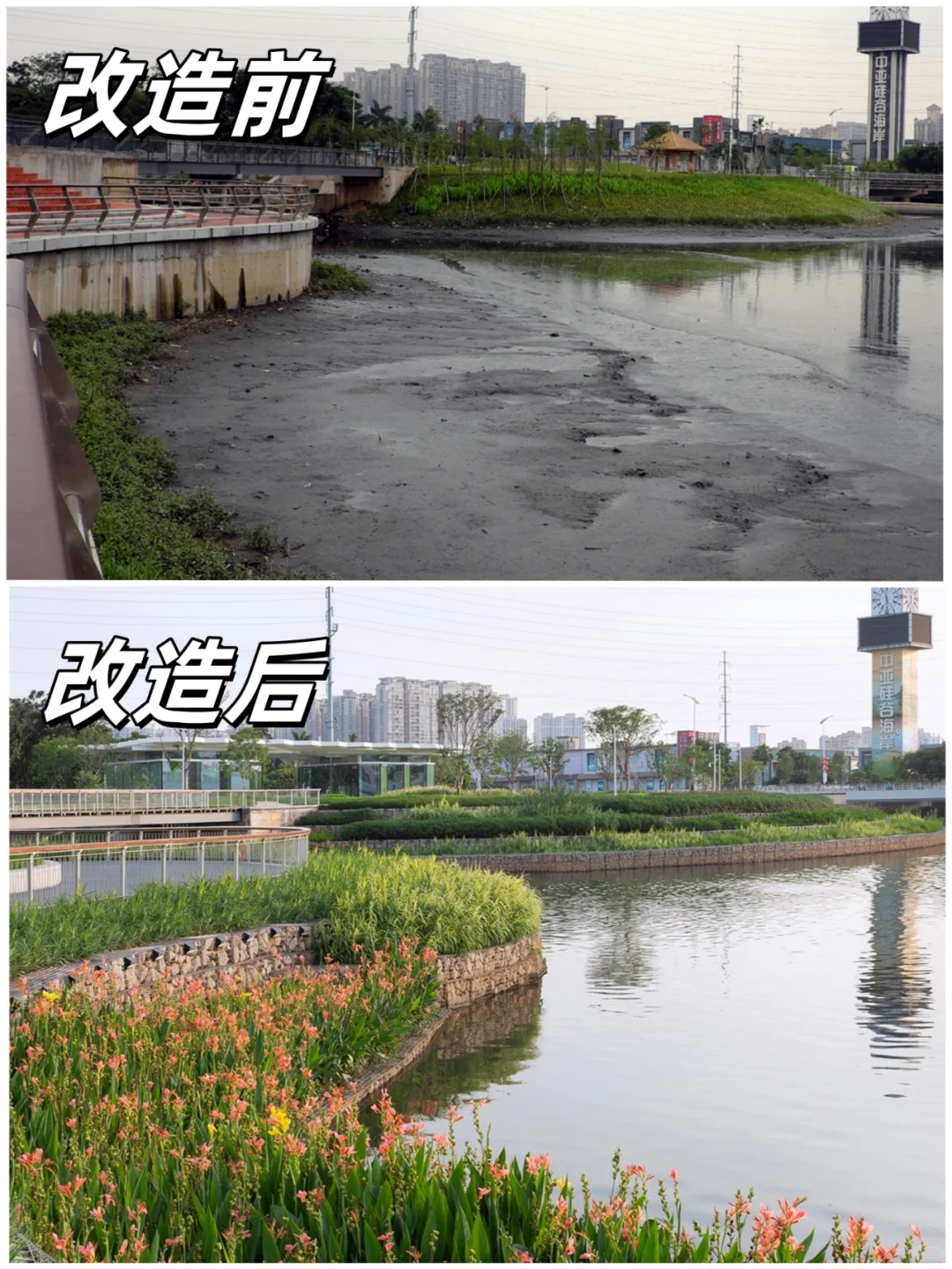 生态石笼梯级湿地在城市河道的妙用