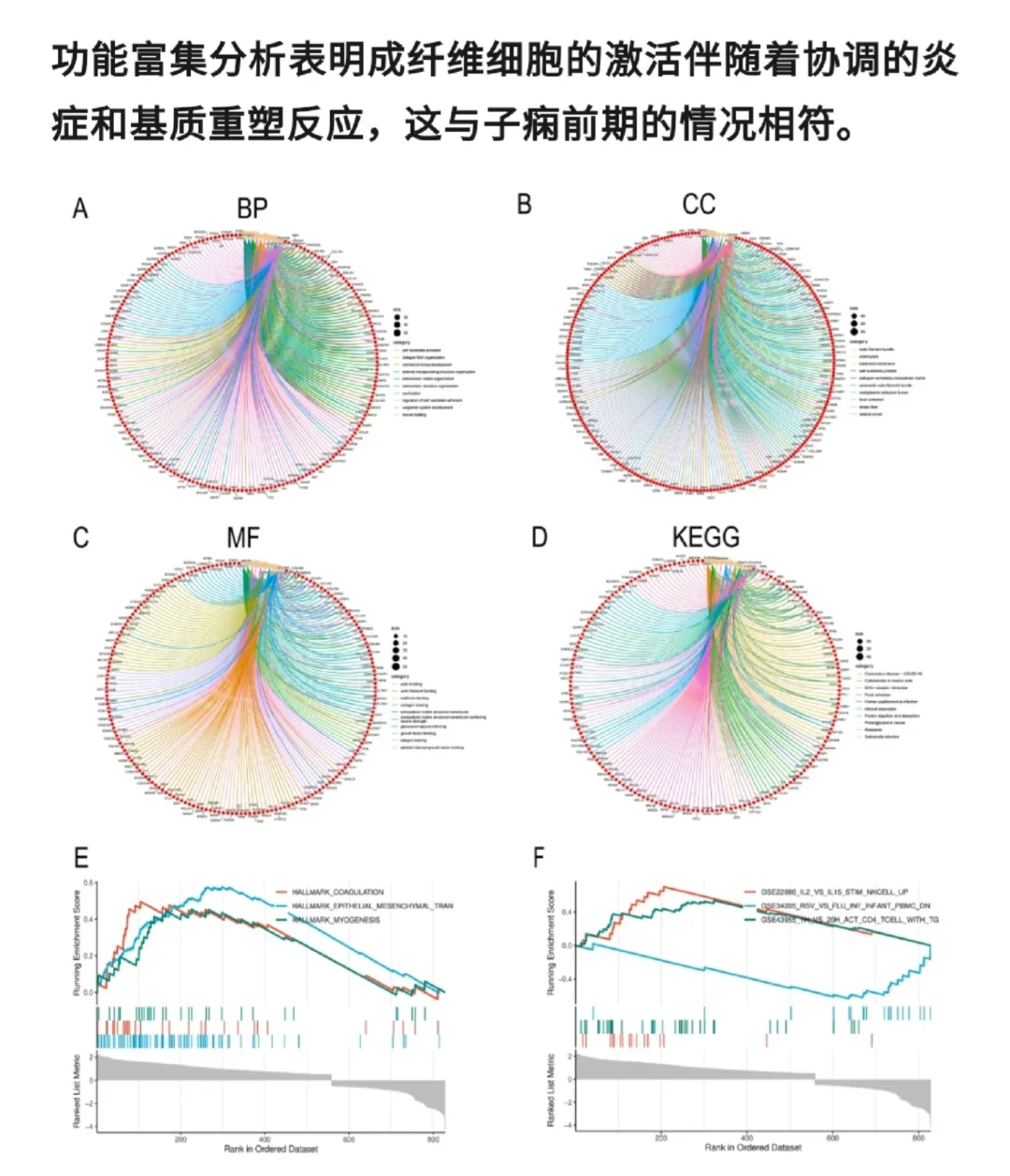 安医大:孟德尔+单细胞解析IL-6/STAT3通路