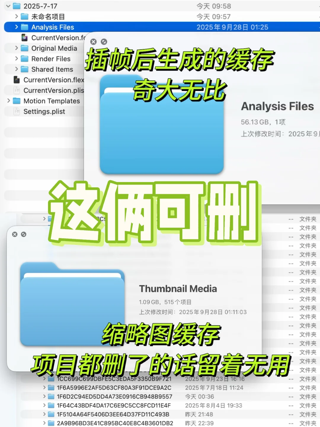 finalcut插帧后的超大缓存,只能手动清理