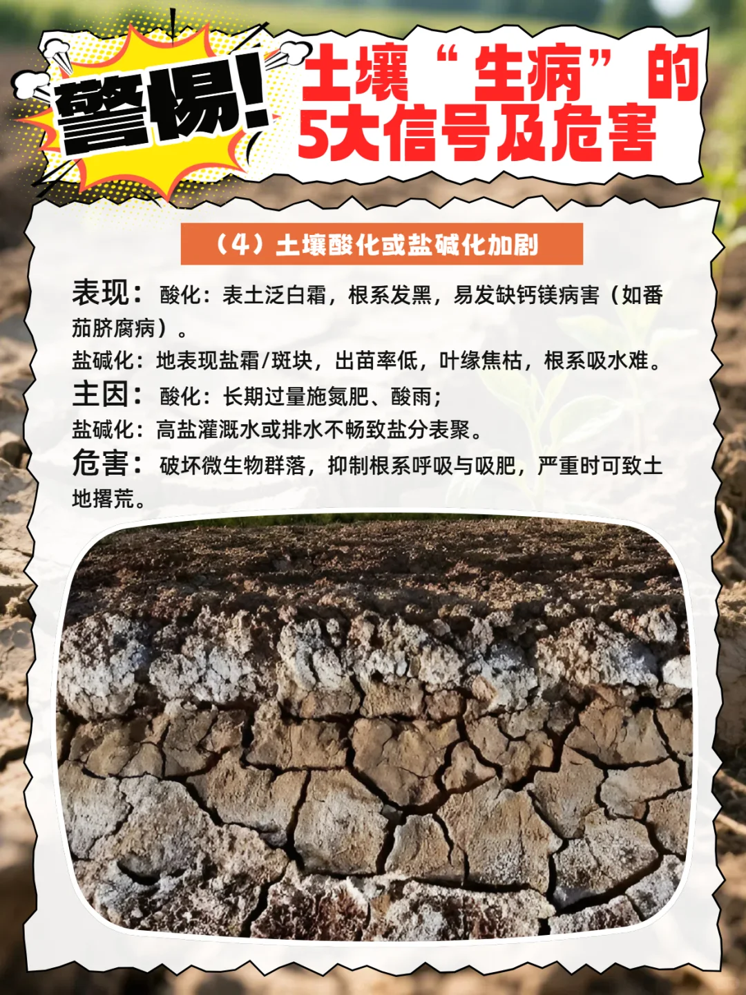 警惕！土壤“生病”的5大信号及危害