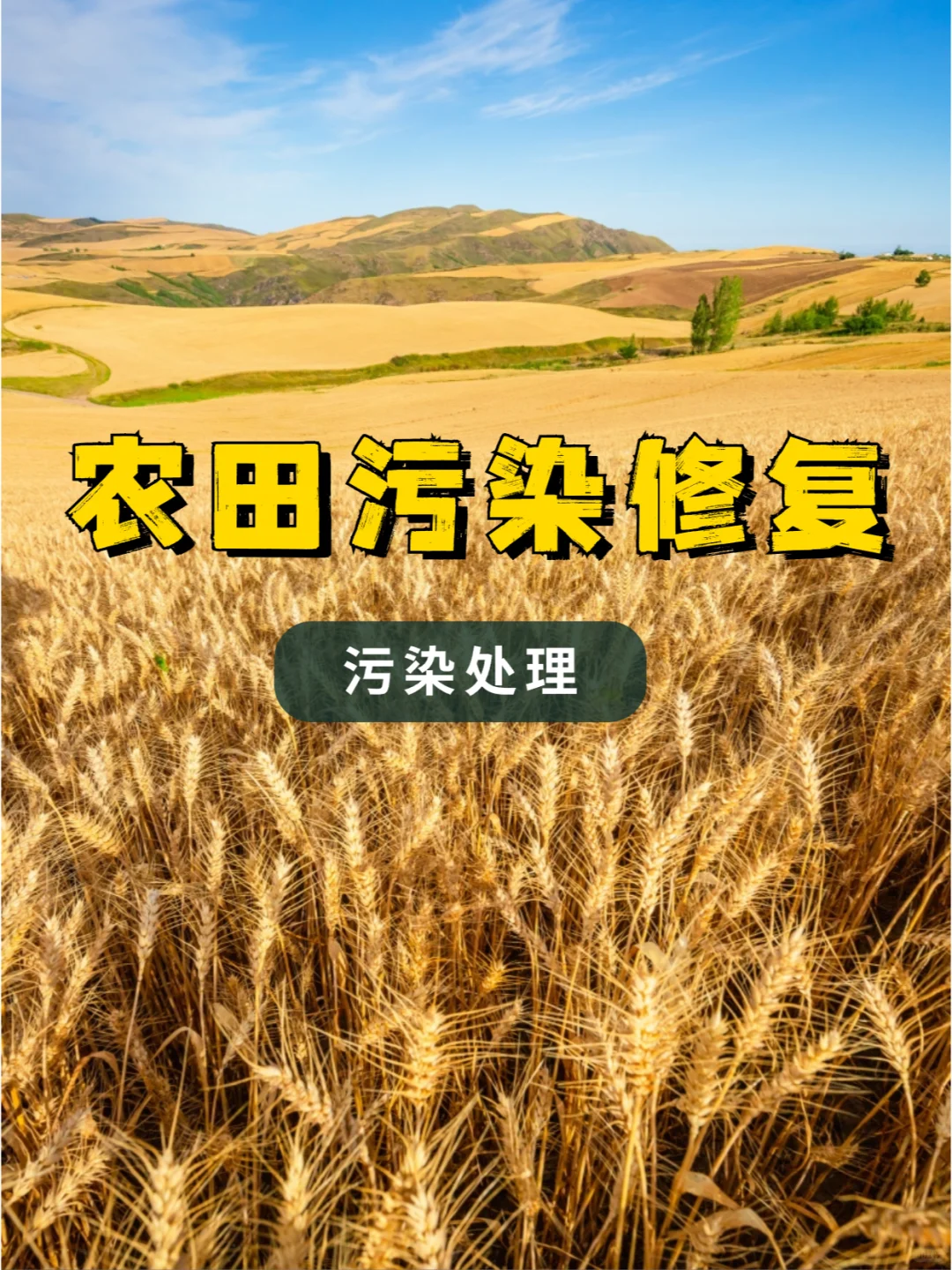 农田污染原因及目前解决方案，你知道几个？