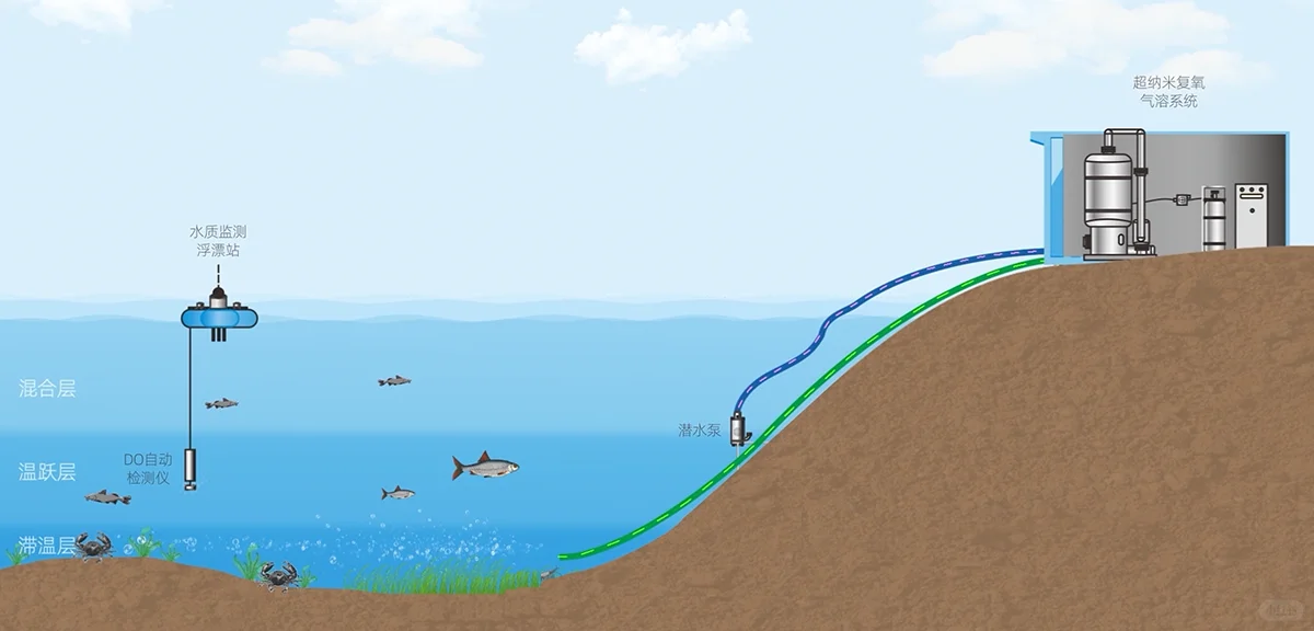 深水湖库富营养化成因与特征