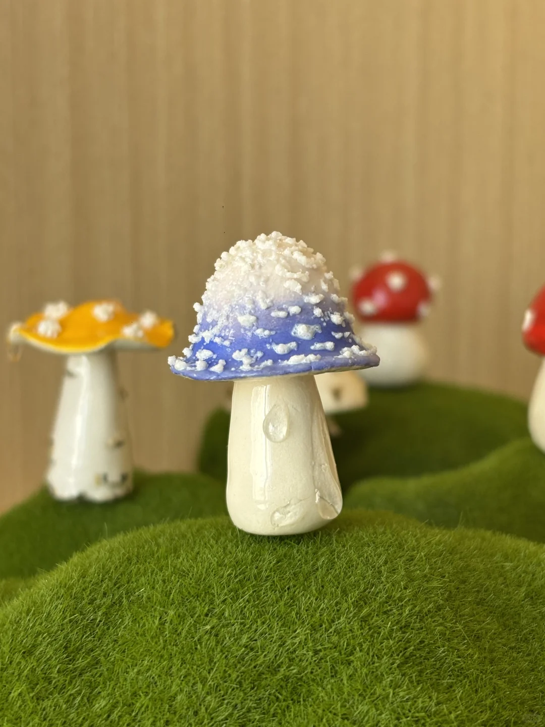 ?‍?进山采蘑菇的一天