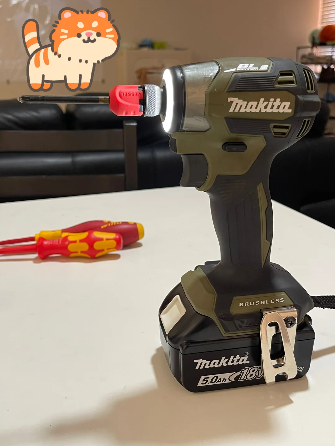 澳洲电工入行 工具分享