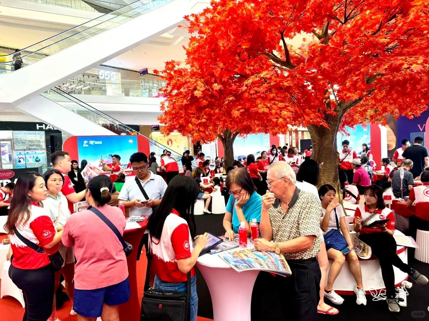 ??我宣布这是我看过最大方的旅游展✈️?