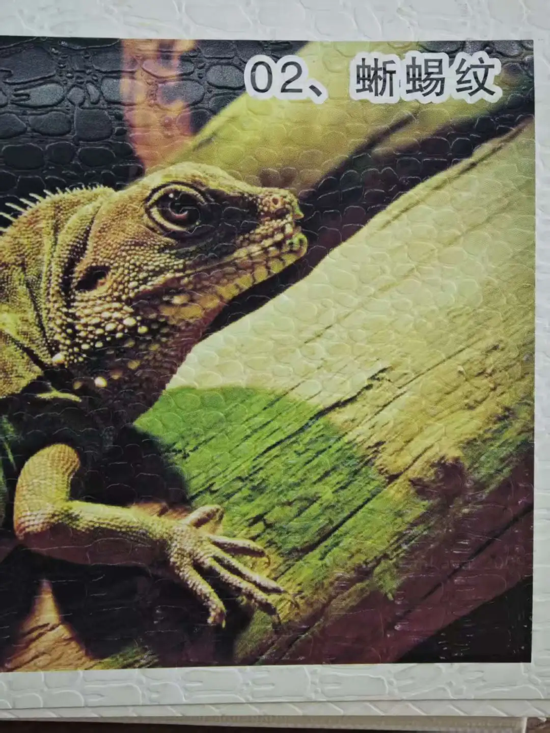 各种纹样的压印