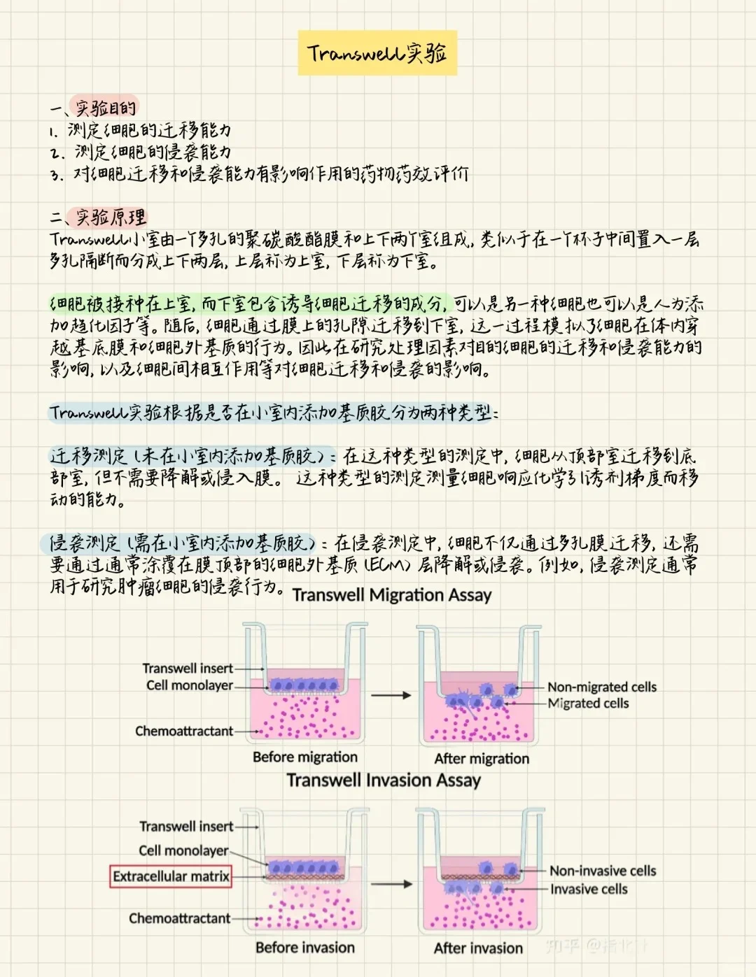 Transwell实验一次性通关!保姆级教程?
