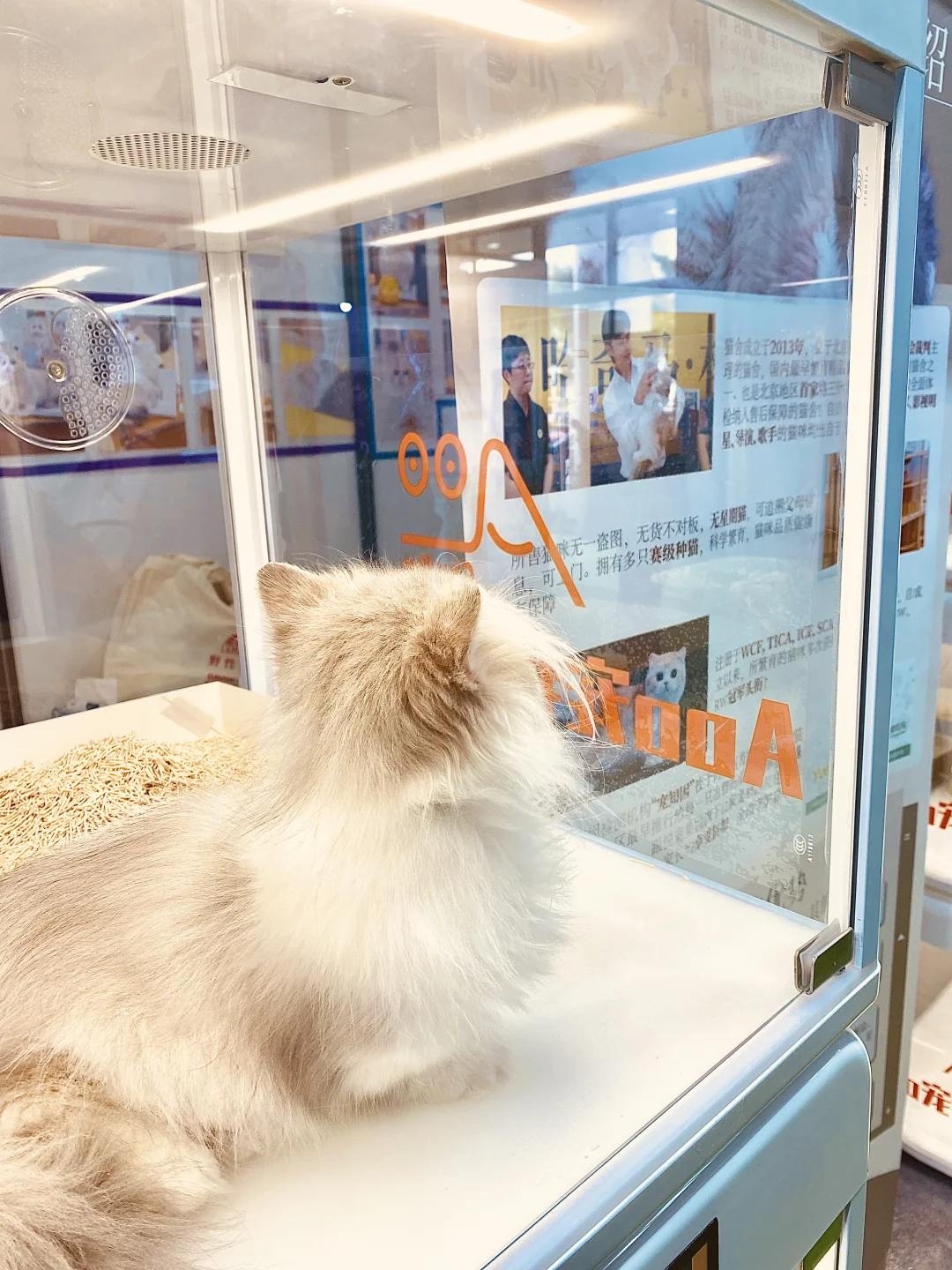 2025 UPet北京有宠生活展