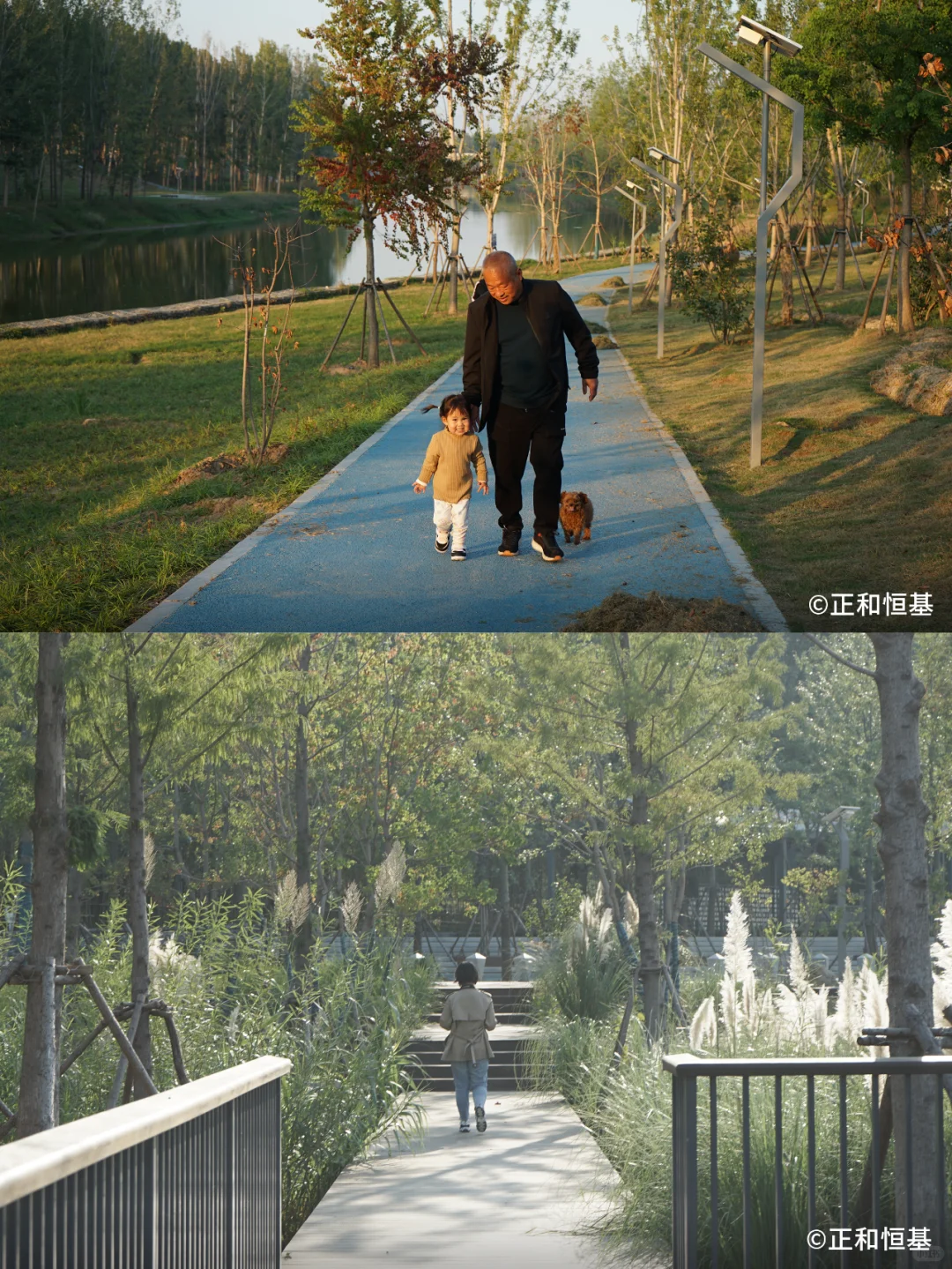 2023 IFLA 获奖项目：低干扰生态韧性修复