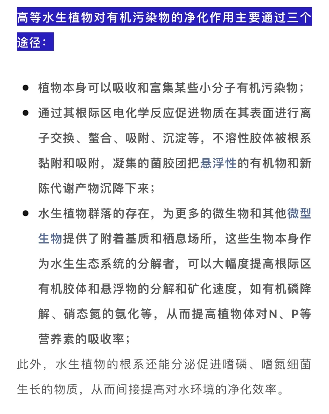 水生植物在水体修复中的妙用……