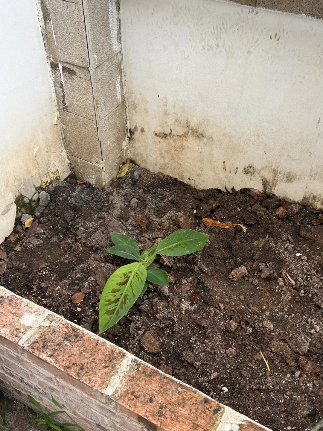 工业废图 受害者➕1