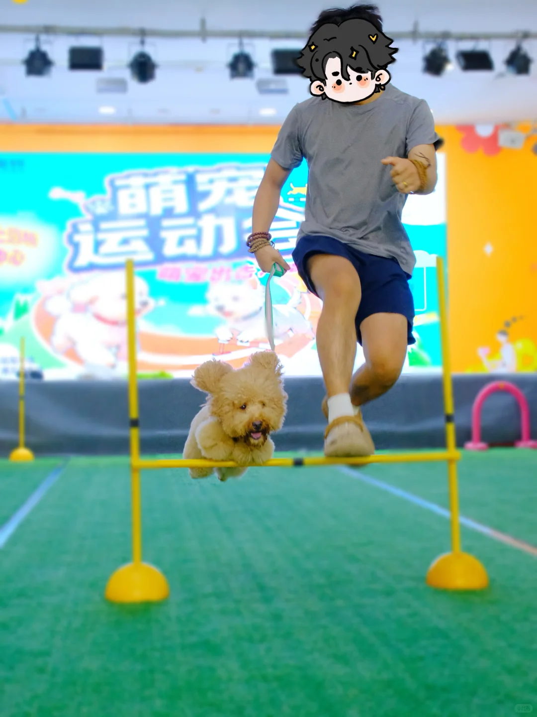 准备好了吗？泸州要举办首届川南宠博会了！