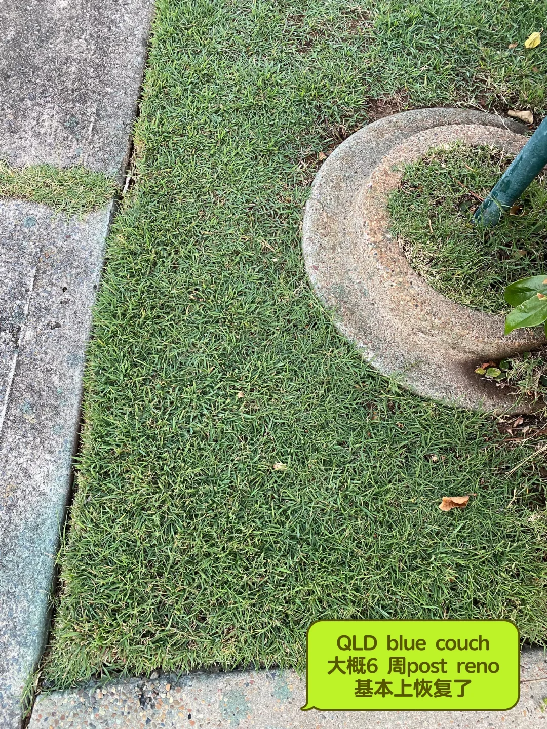 草坪修复与补给