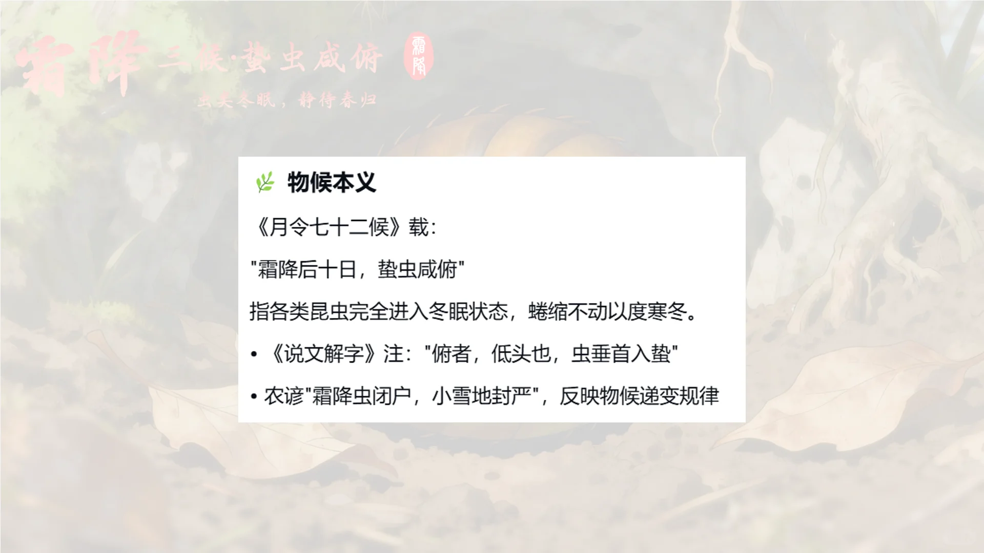 霜降三候·蛰虫咸俯——虫类冬眠，静待春归