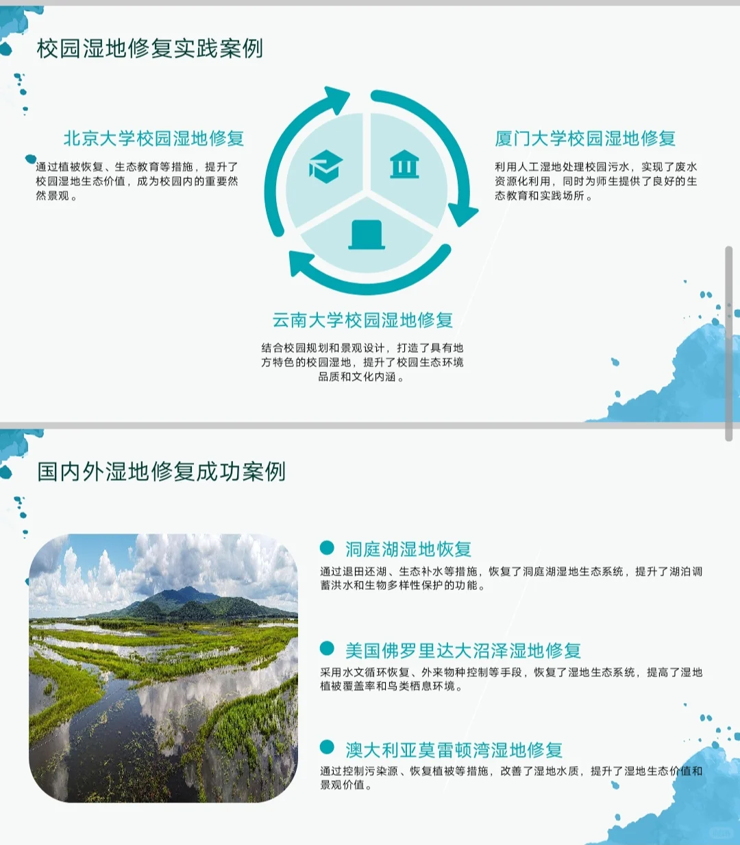 湿地修复ppt