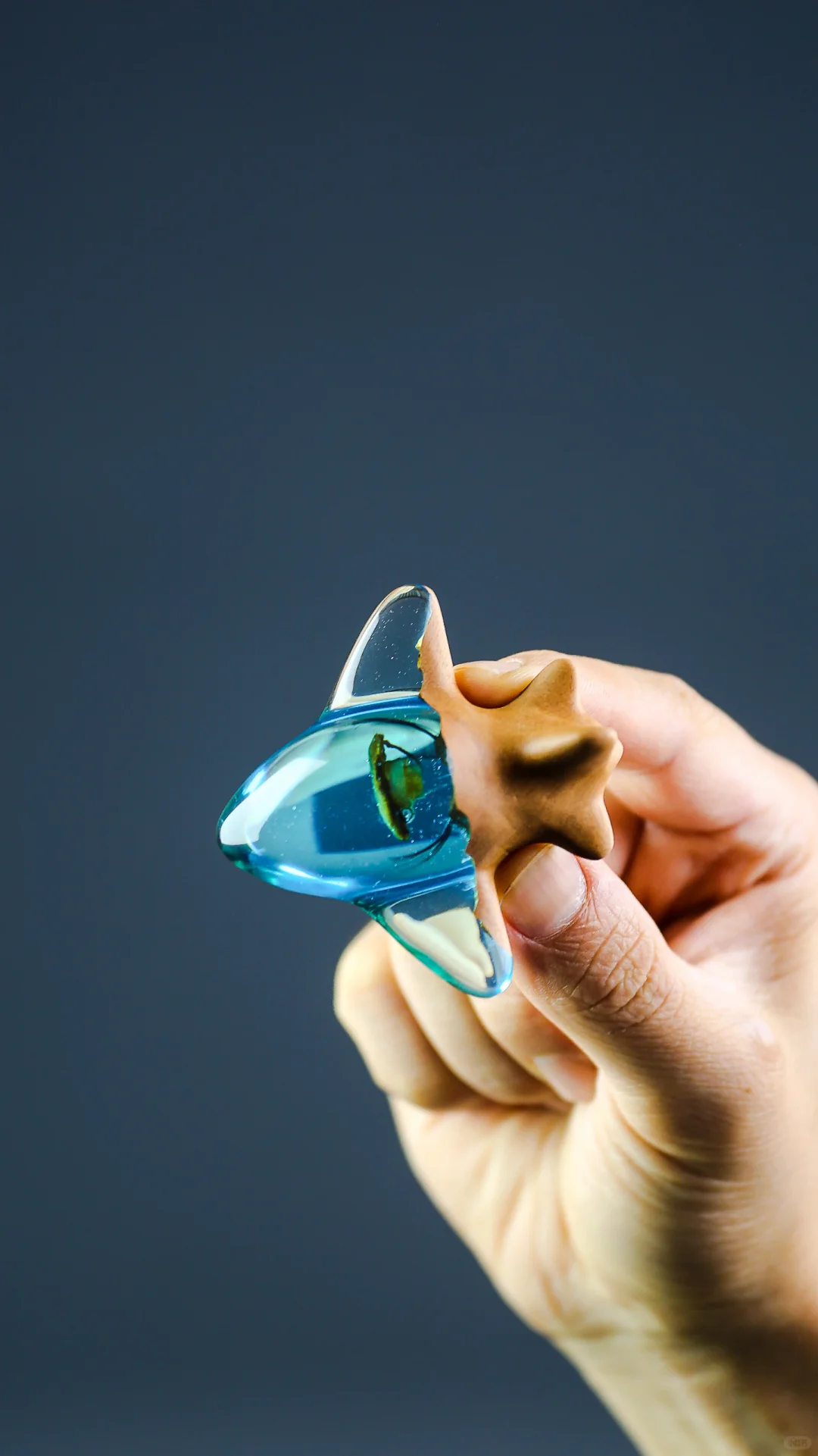 未来梦幻小飞机封存脐带胎发