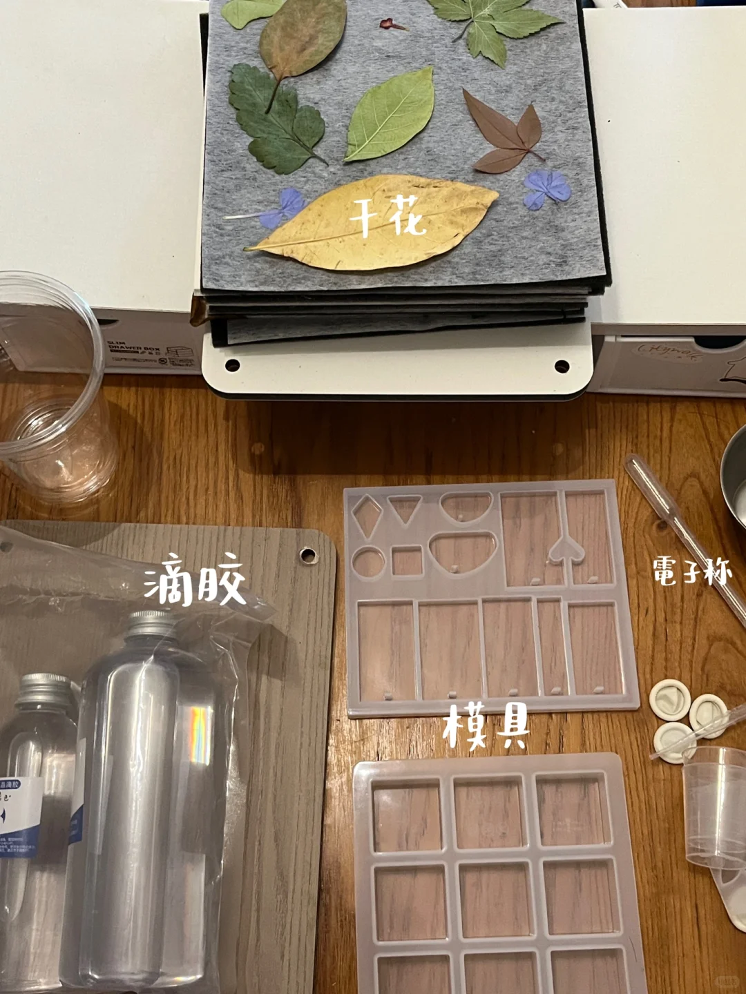 滴胶植物标本?制作详细教程来了