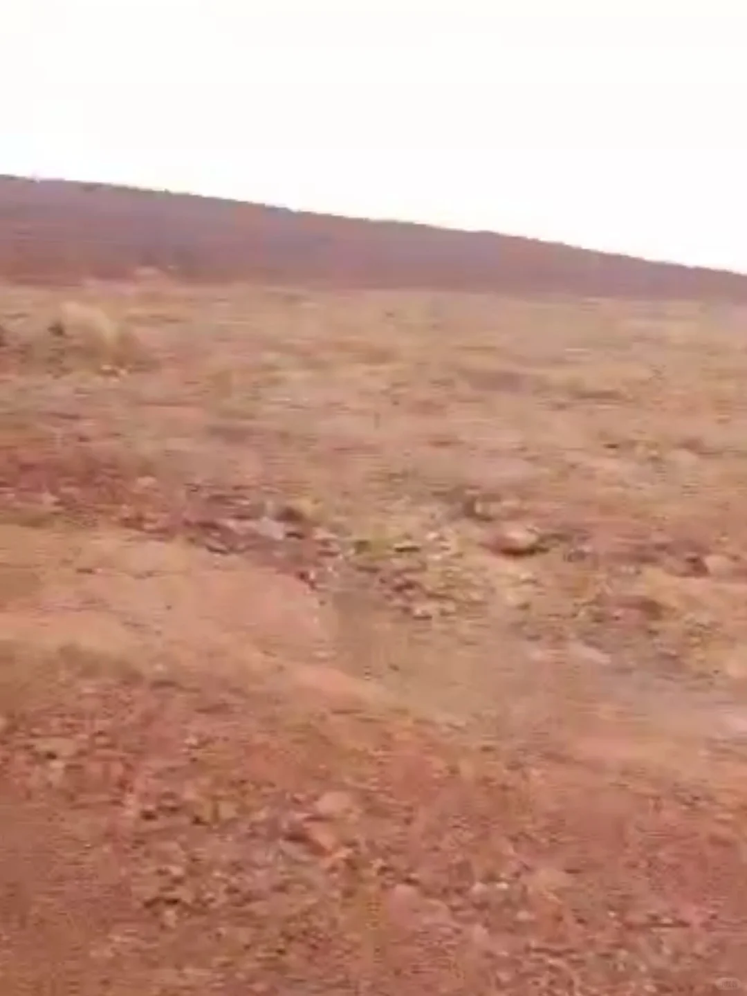 几内亚比绍铝土矿资源