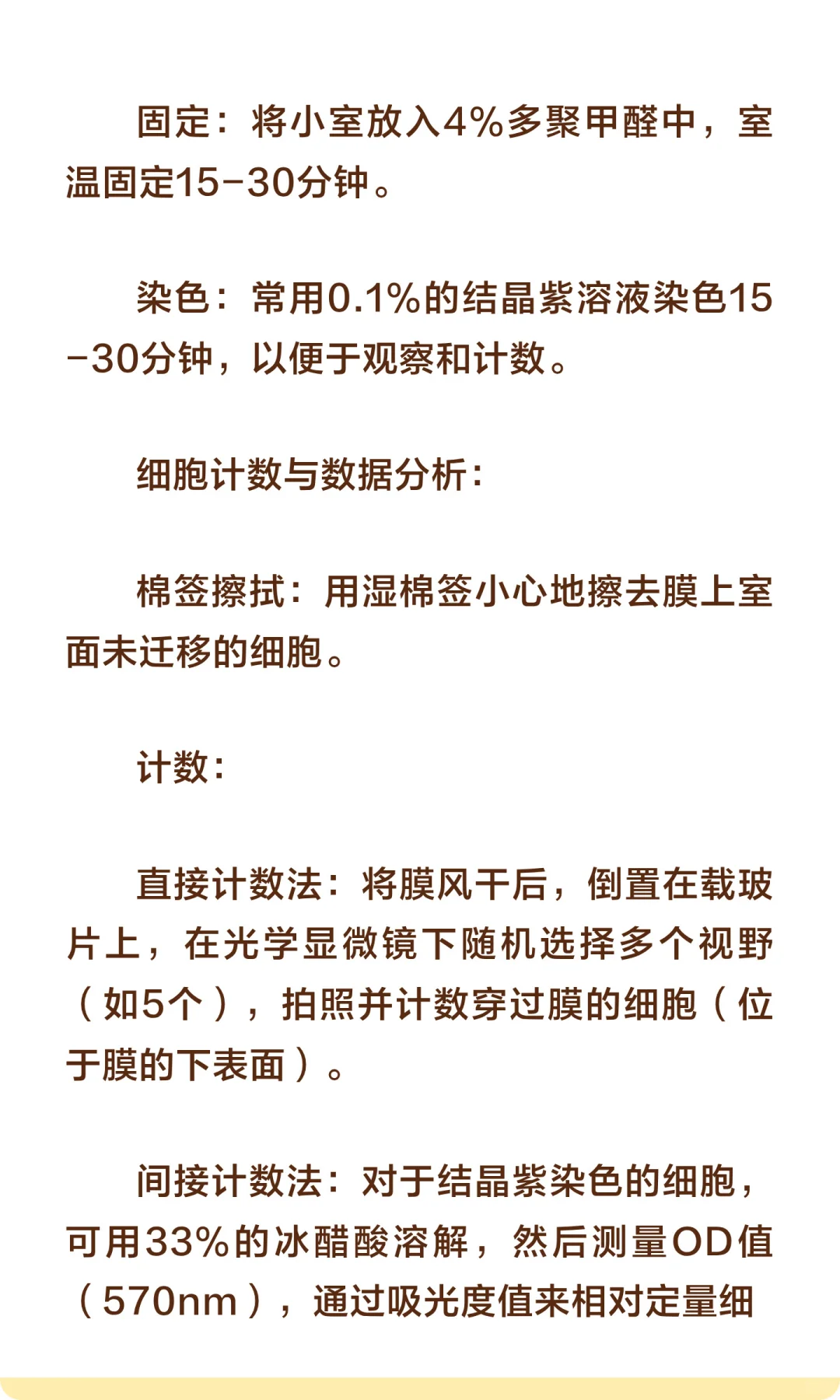 Transwell实验（一）