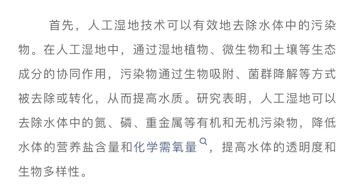 人工湿地技术在水环境修复中的应用