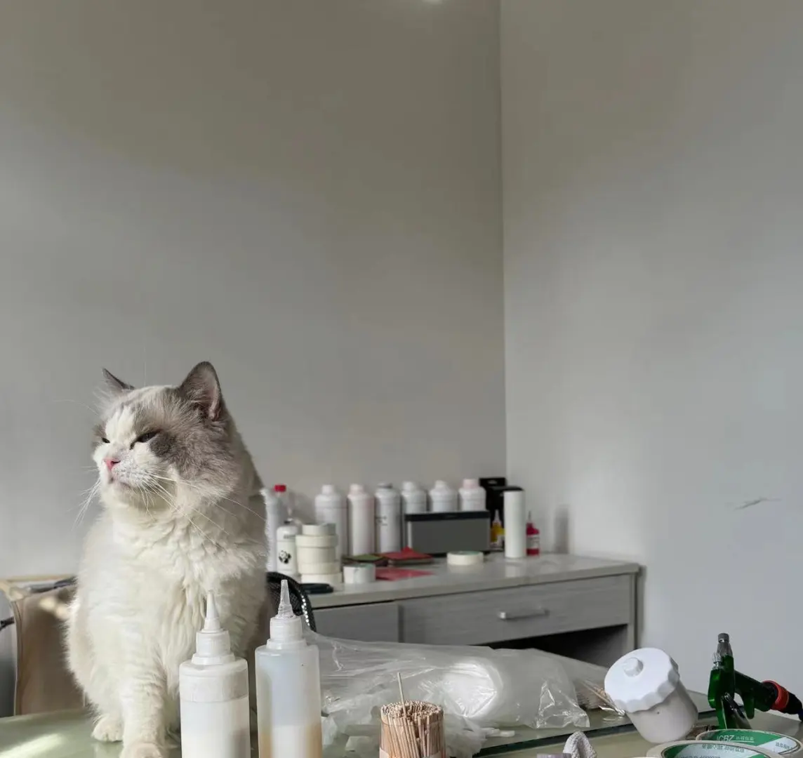 我是一个优秀的调色师傅，但是我不会教