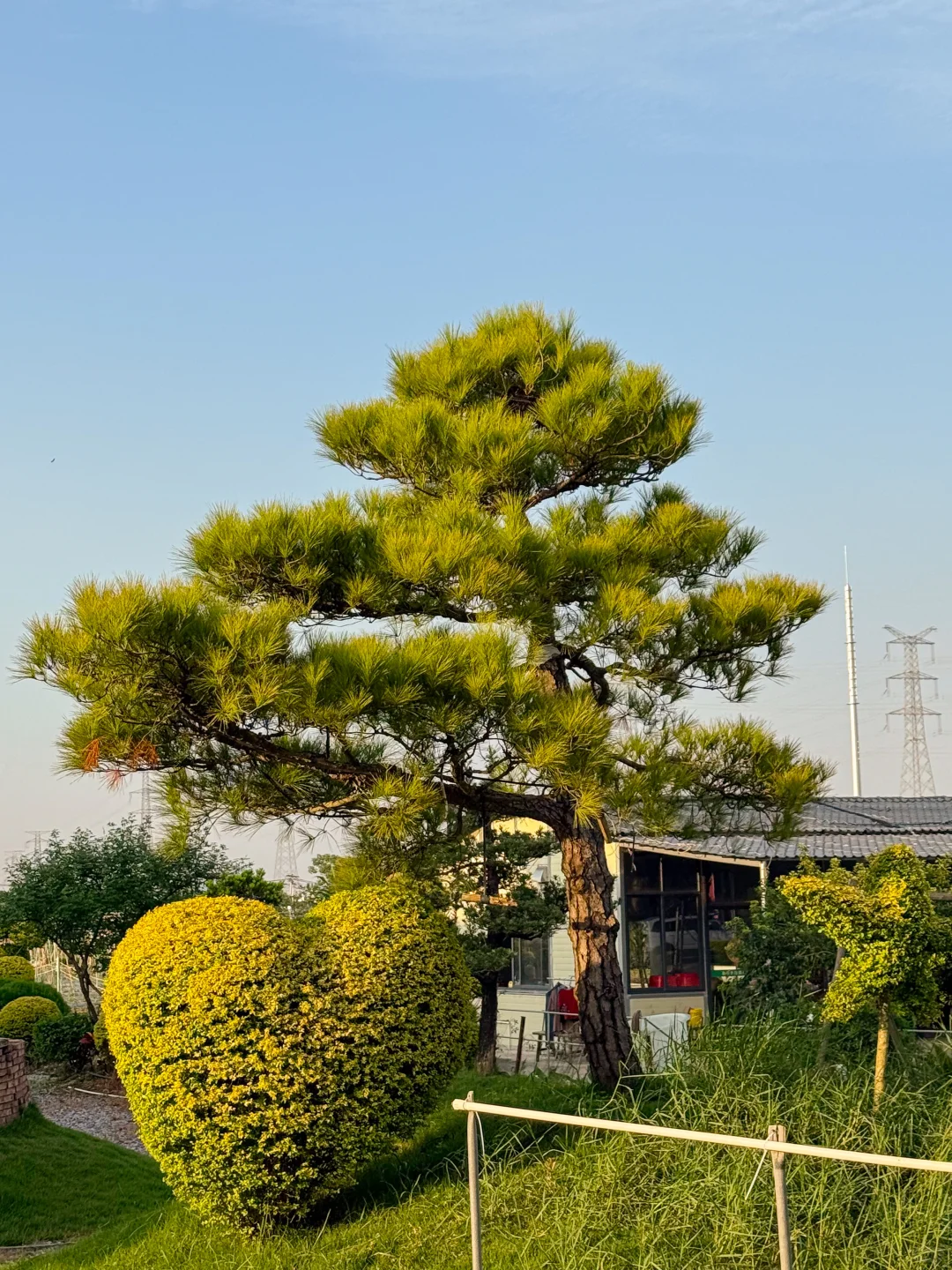 秋日氛围感天花板?西江花洲拍照+蝴蝶兰展