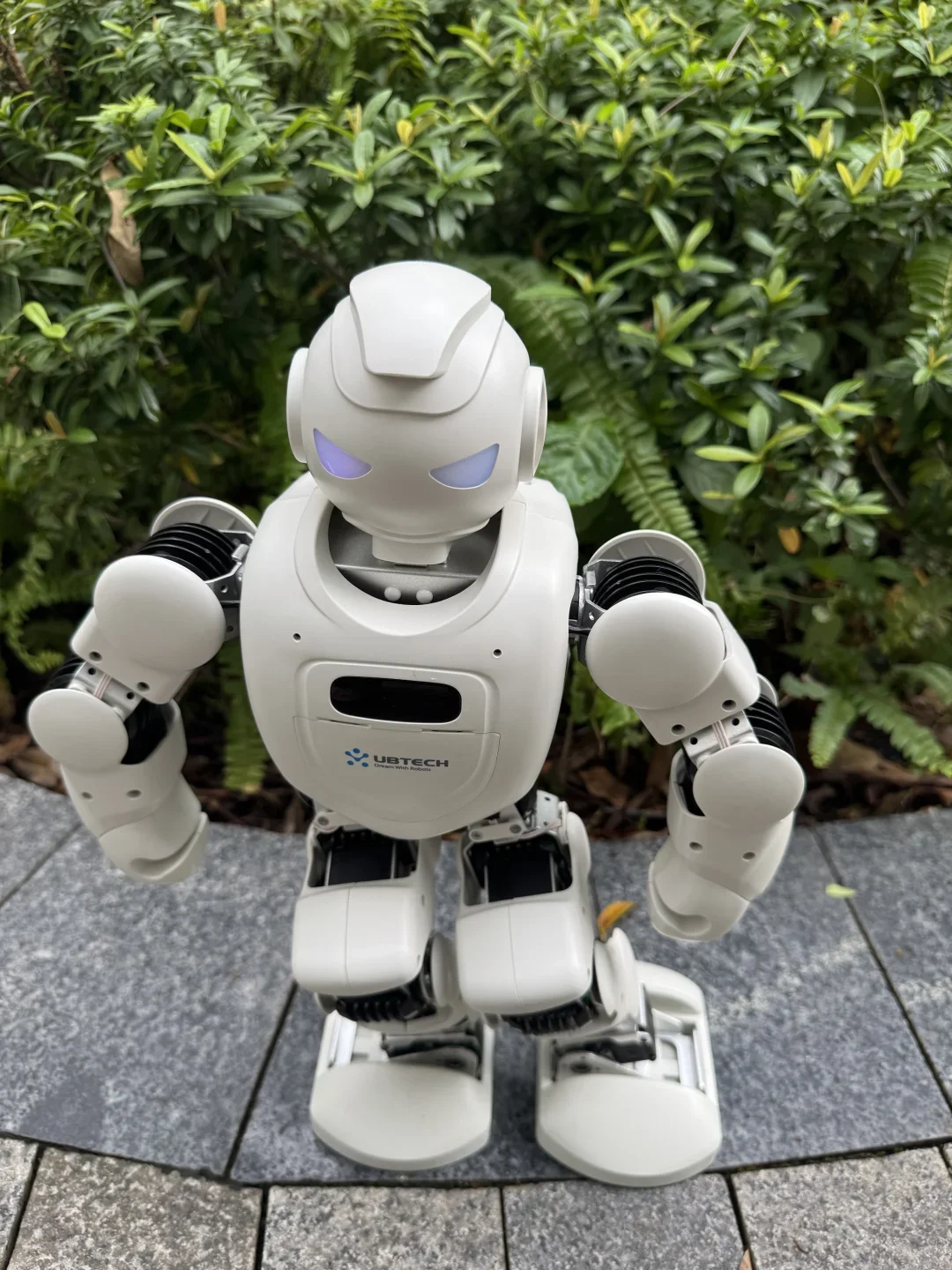 “陪娃神器”——一个会自己干活的玩伴真香