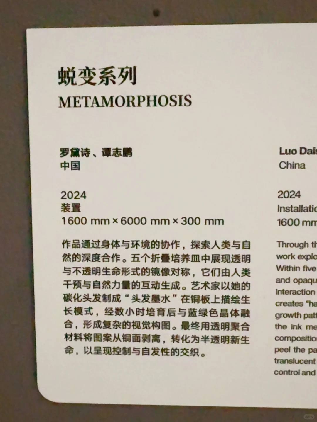 杭州近期被低估的免费展览‼️