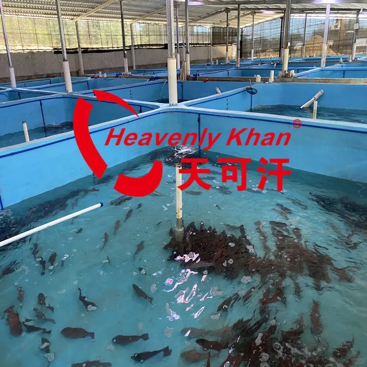 天可汗养殖漆水性环保适用于多场景水产养殖