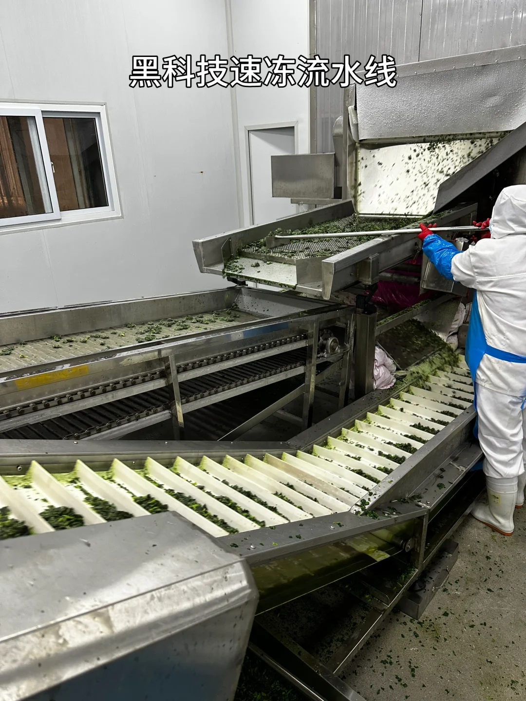 ?速冻蔬菜工厂大公开！让生鲜蔬菜更方便