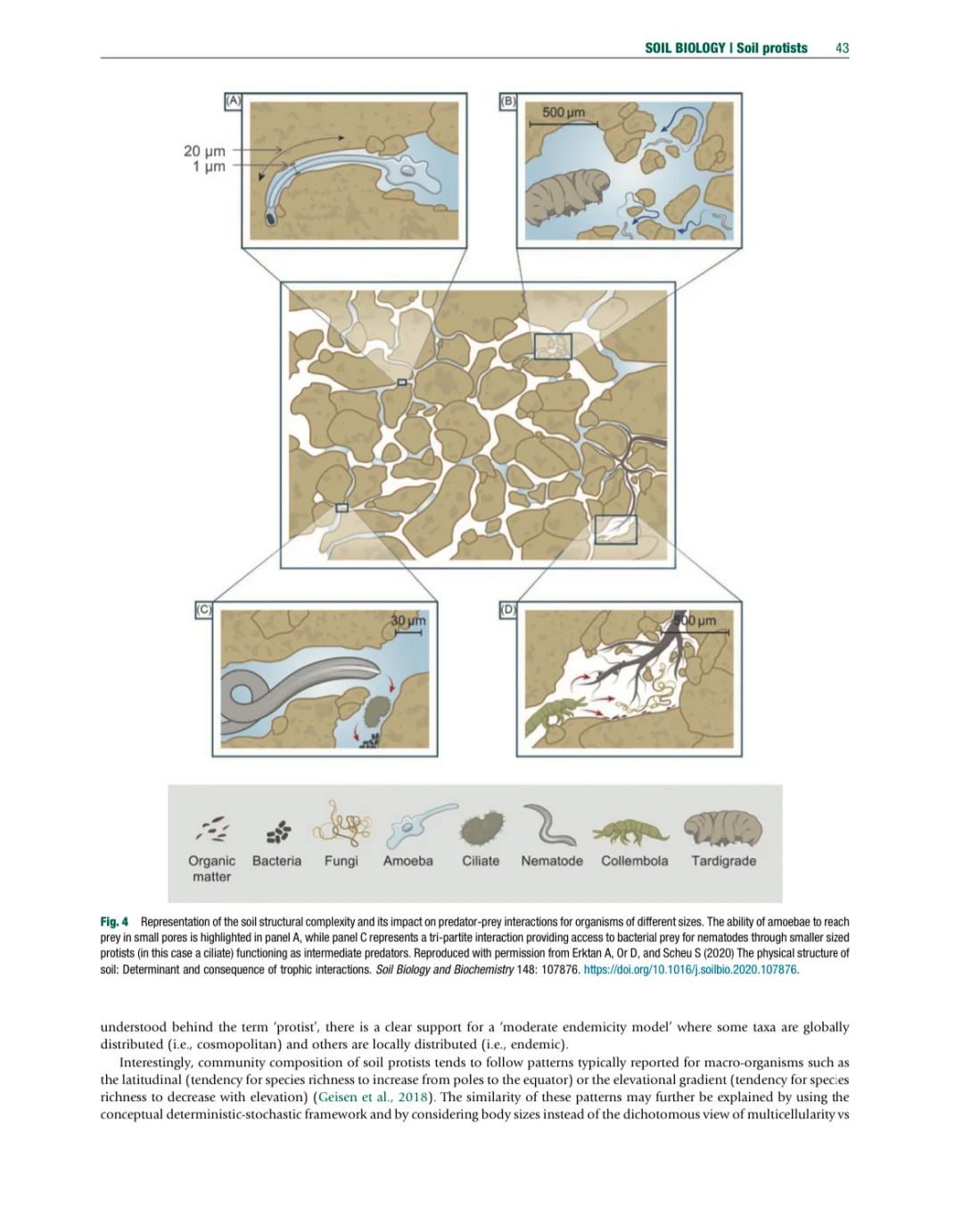 环境土壤学百科全书 第二版