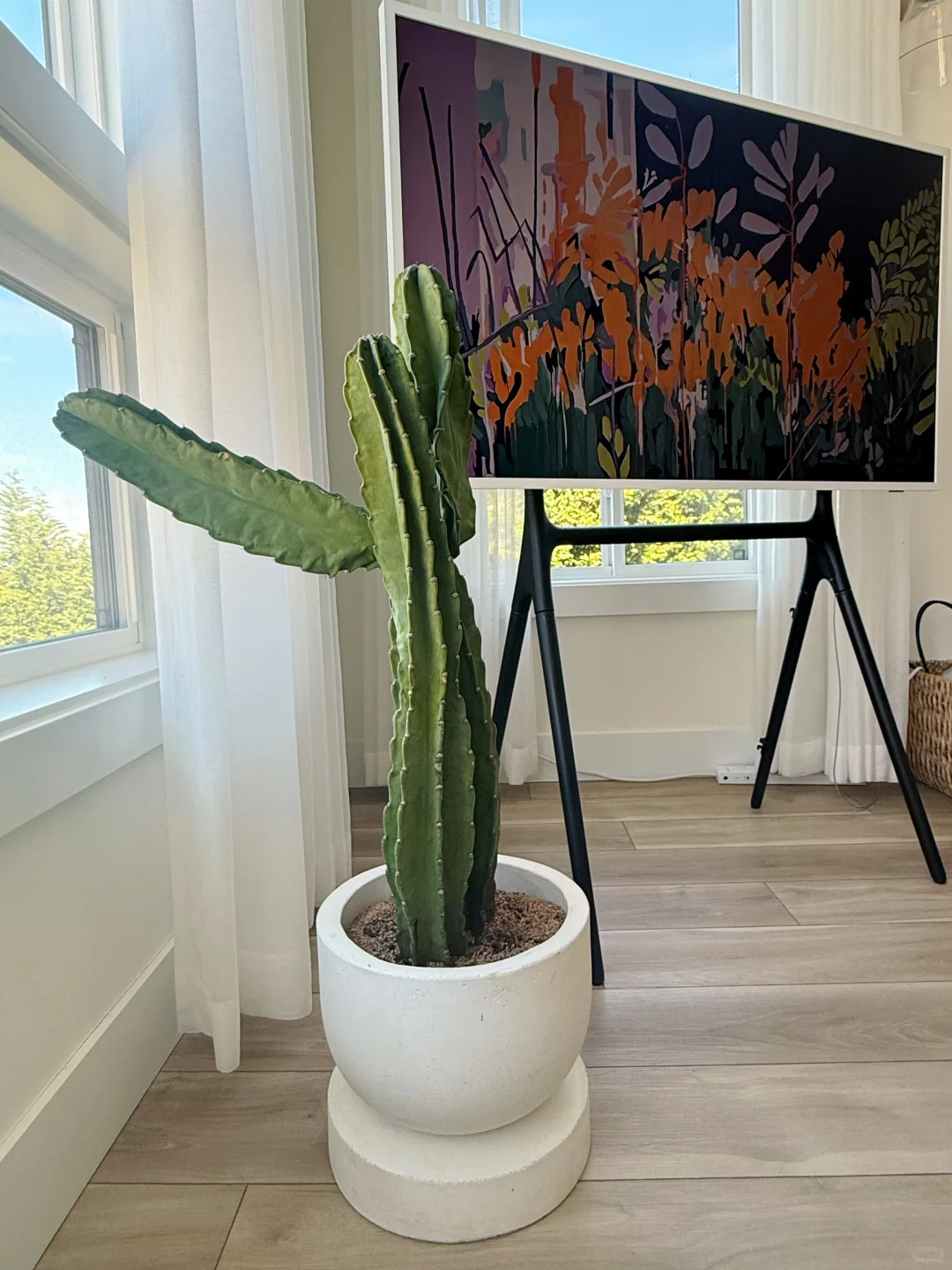 西雅图生活/绿植小白进阶路上的必备神器