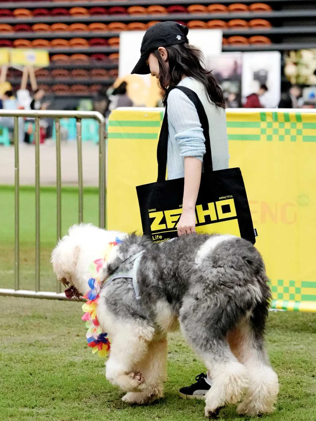 川南宠博会！泸州！太多可爱的毛孩子啦