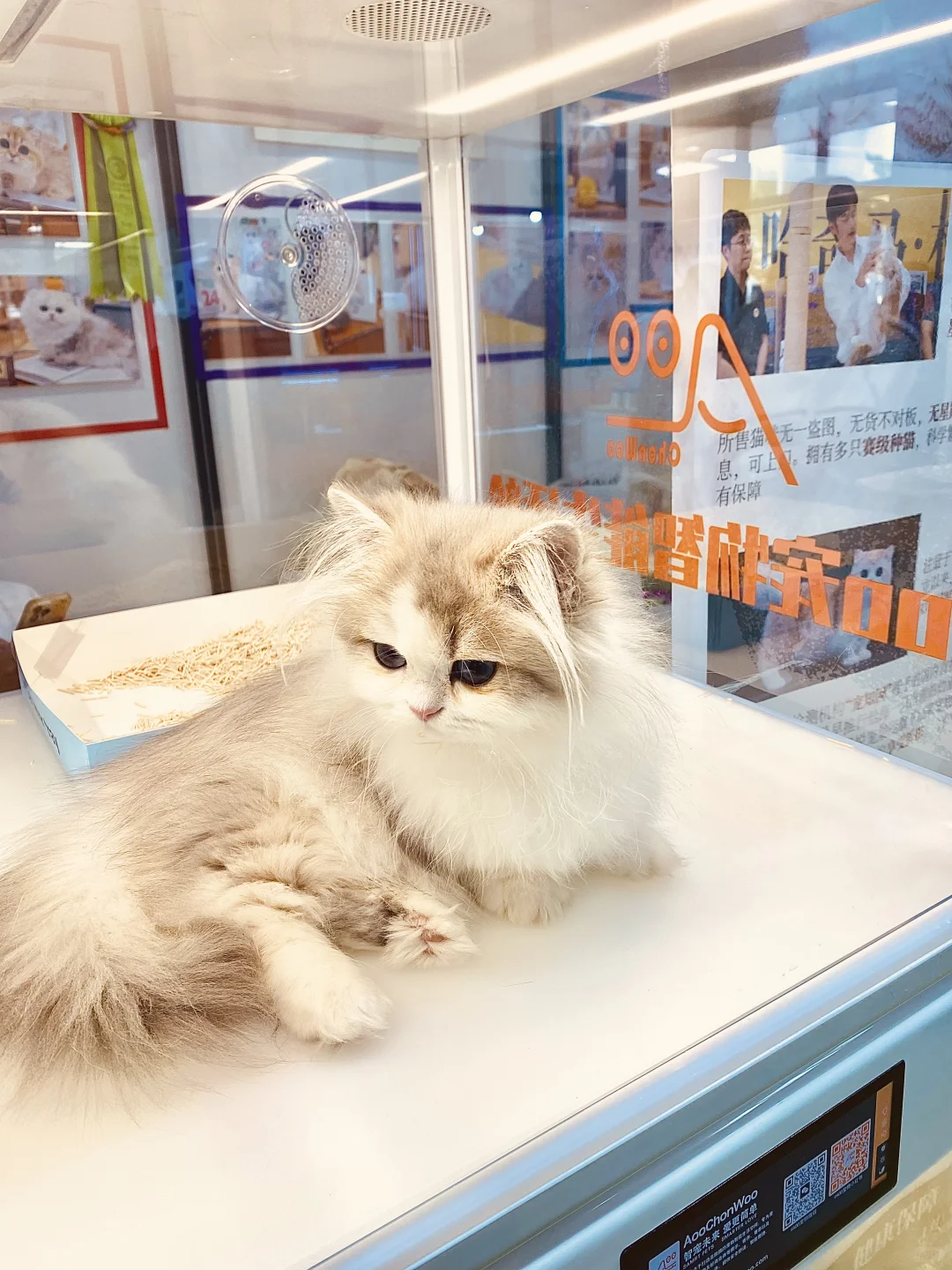 2025 UPet北京有宠生活展