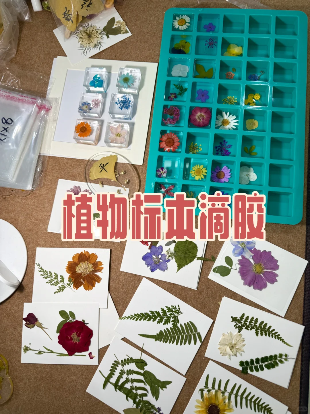 沉浸式压花｜治愈系小花花