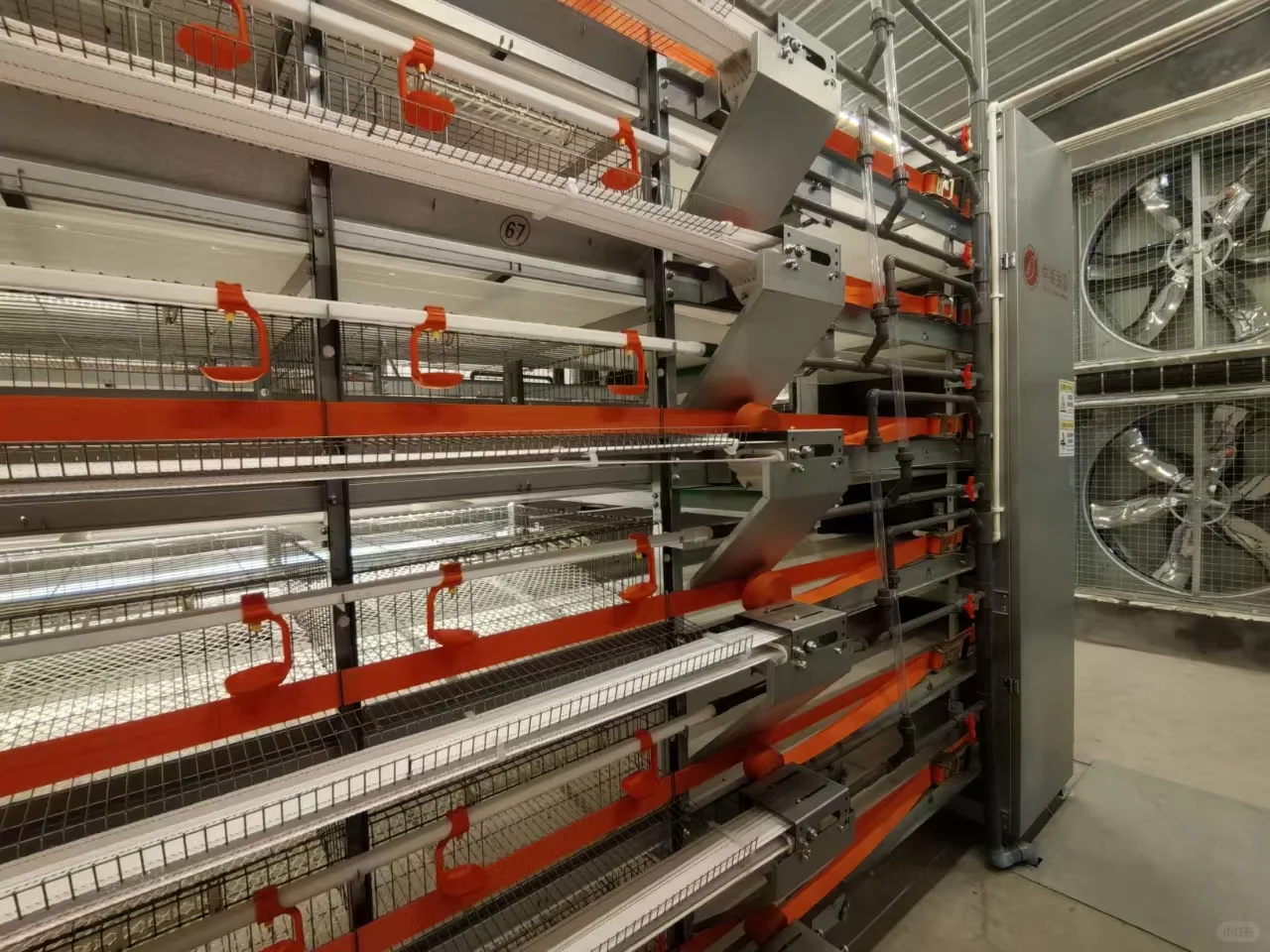 华泰金羽，打造世界一流鹌鹑养殖设备