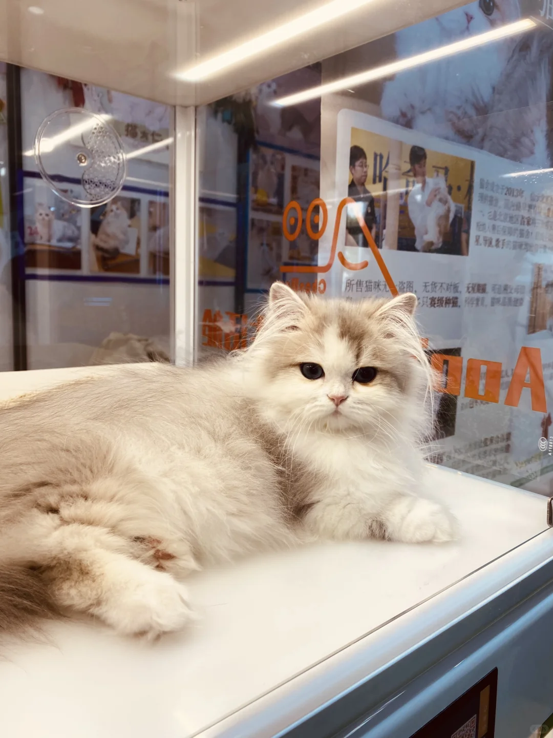 2025 UPet北京有宠生活展