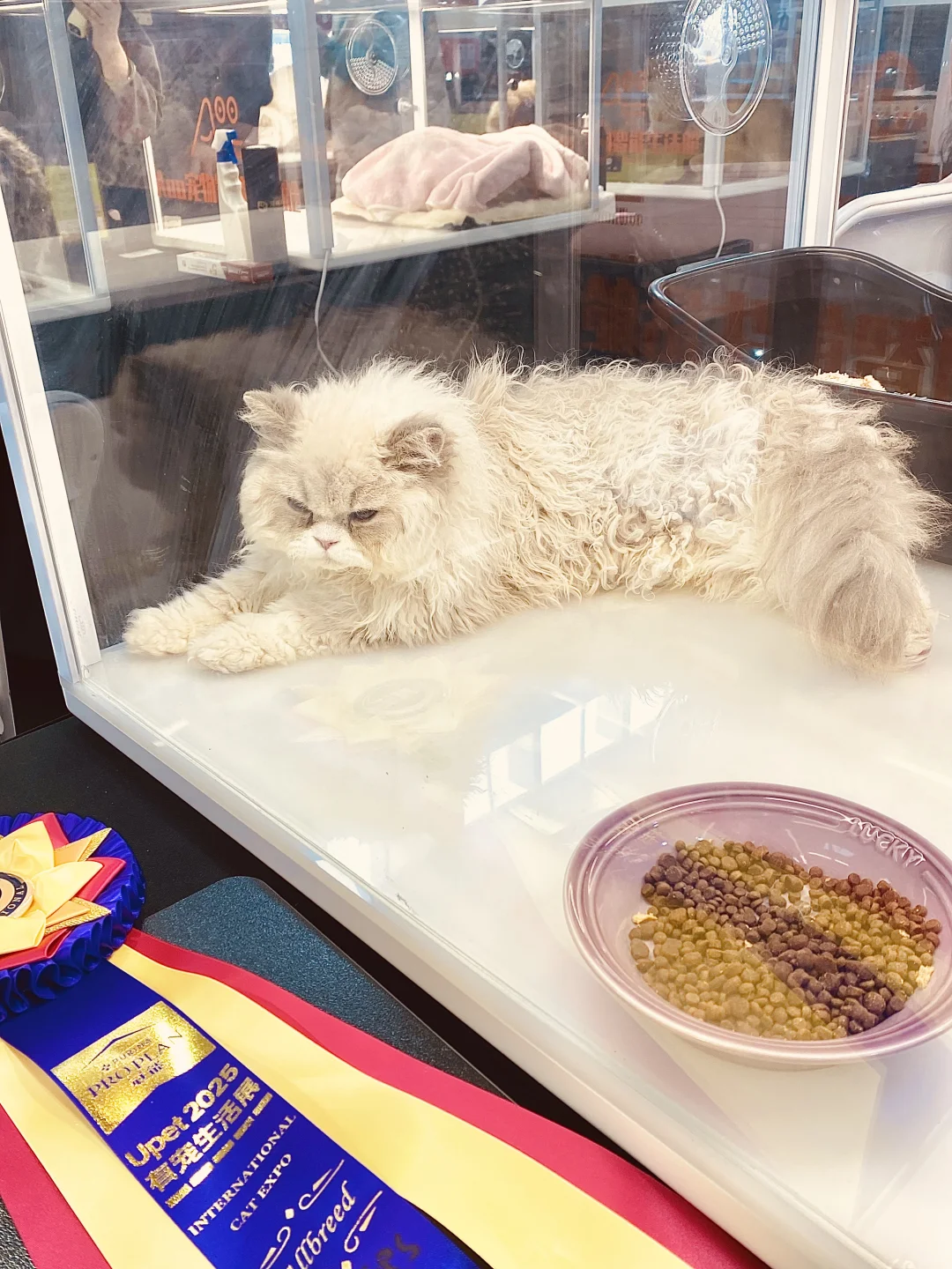 2025 UPet北京有宠生活展