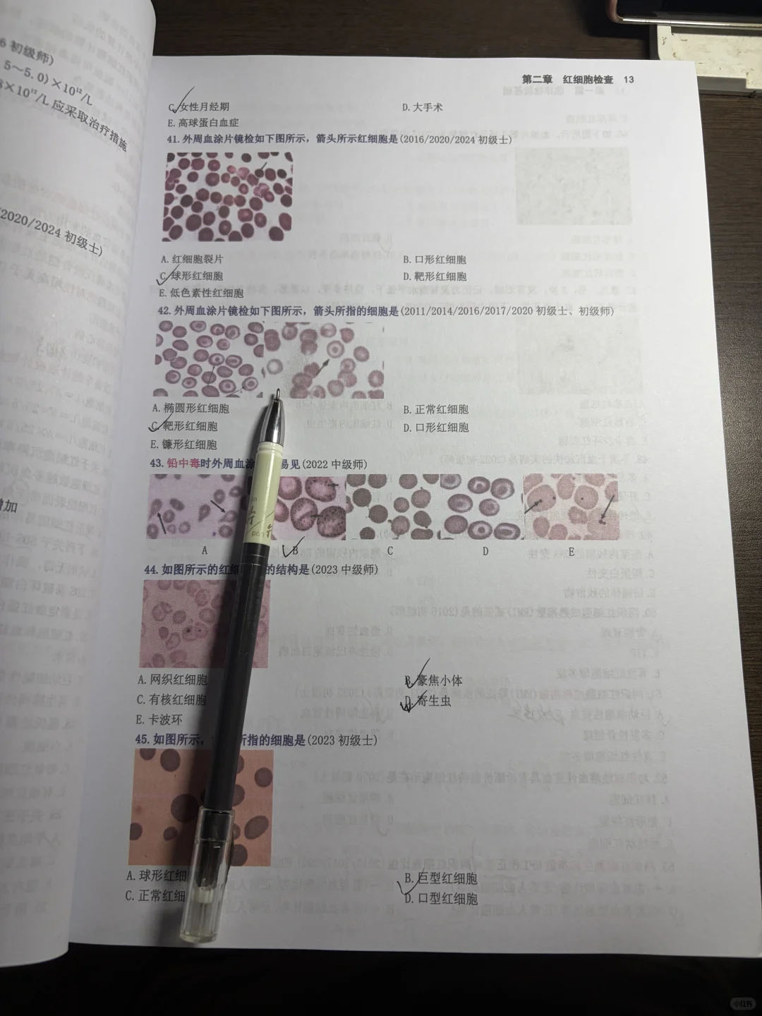 今天沉迷于学习是怎么回事