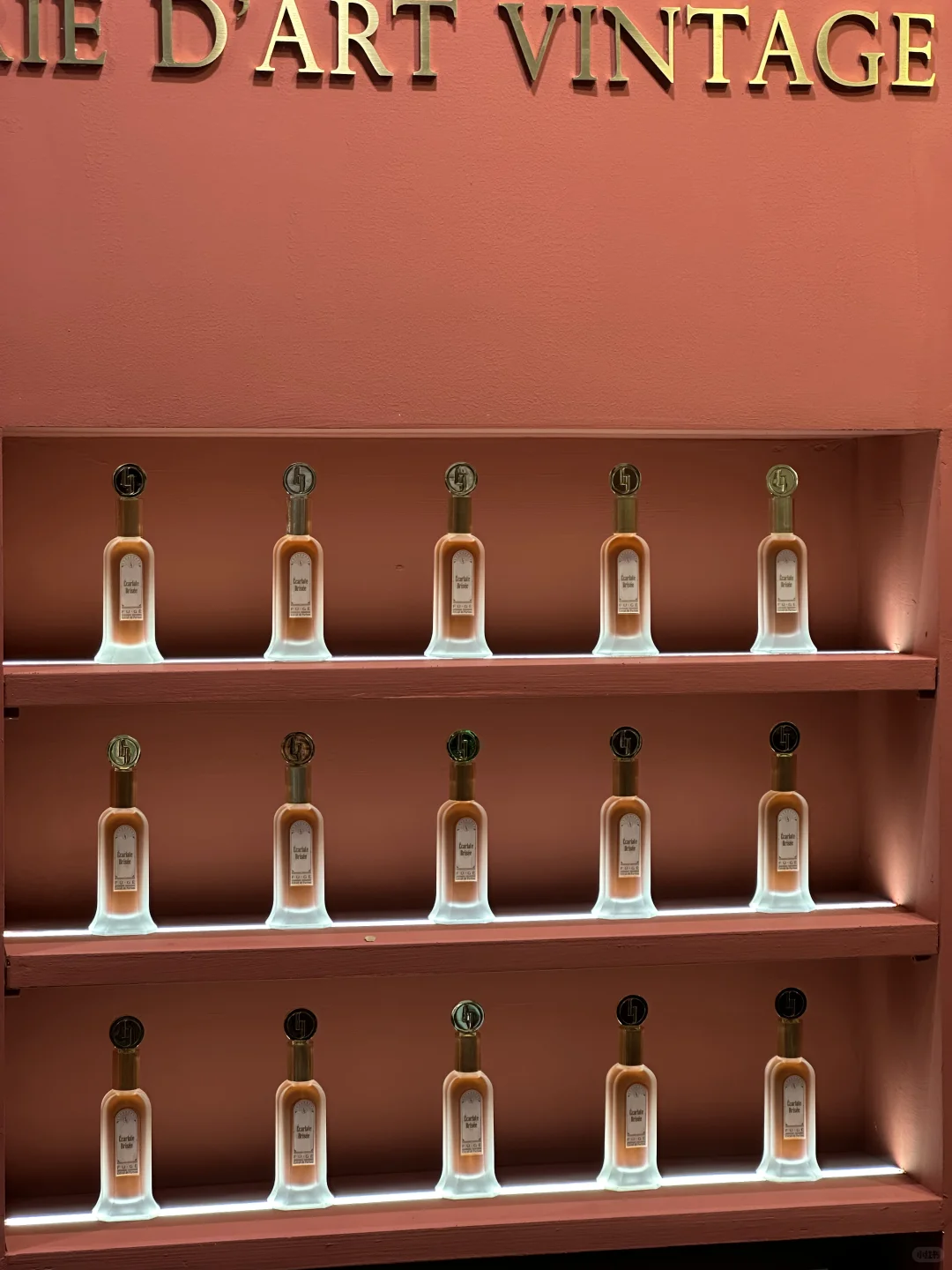 气味上海·公众日逛展攻略来啦!