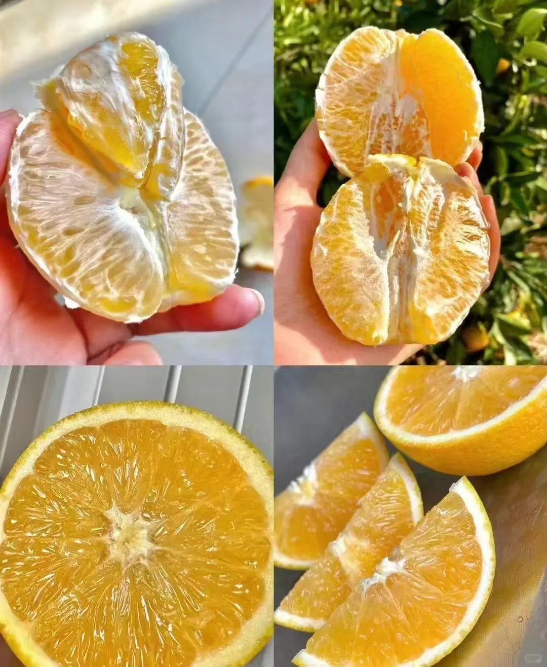 赣南脐橙：江西果冻橙驾到