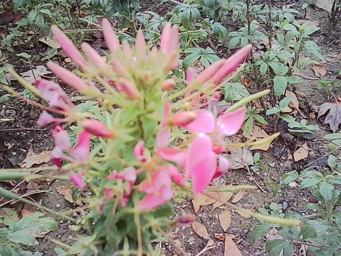 当你在阴天带一堆奇怪设备去颐和园