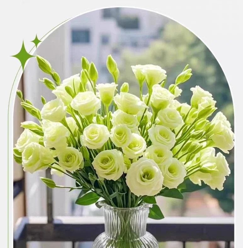 ?魔法裁剪纸样之弹力面料分享✨