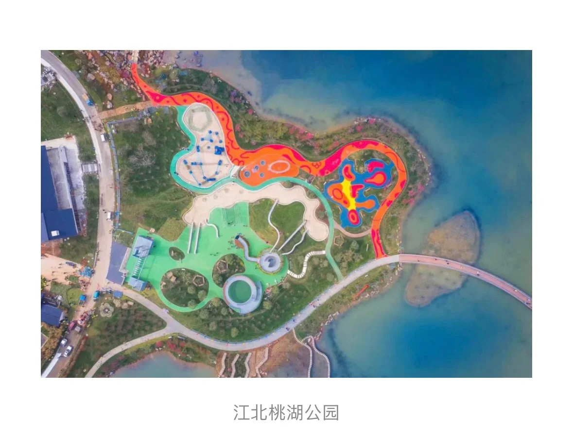 水生植物在水生态修复中的应用问题……