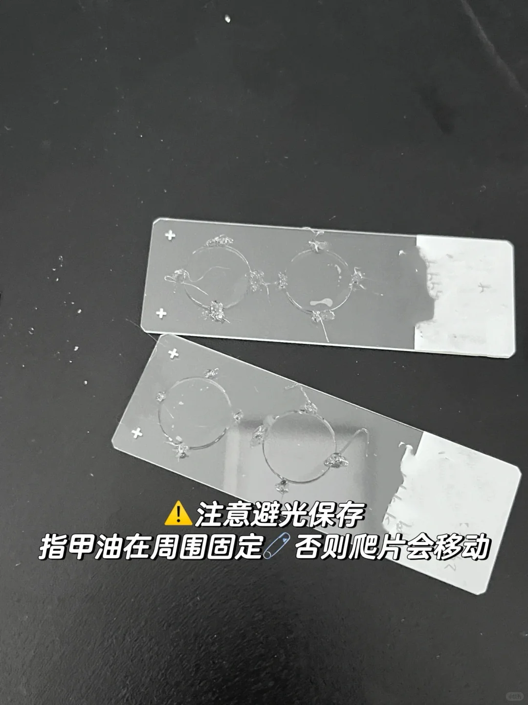 细胞免疫荧光实验 protocol详解‼️